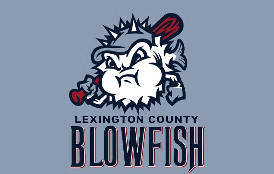 BLOWFISH BASEBALL